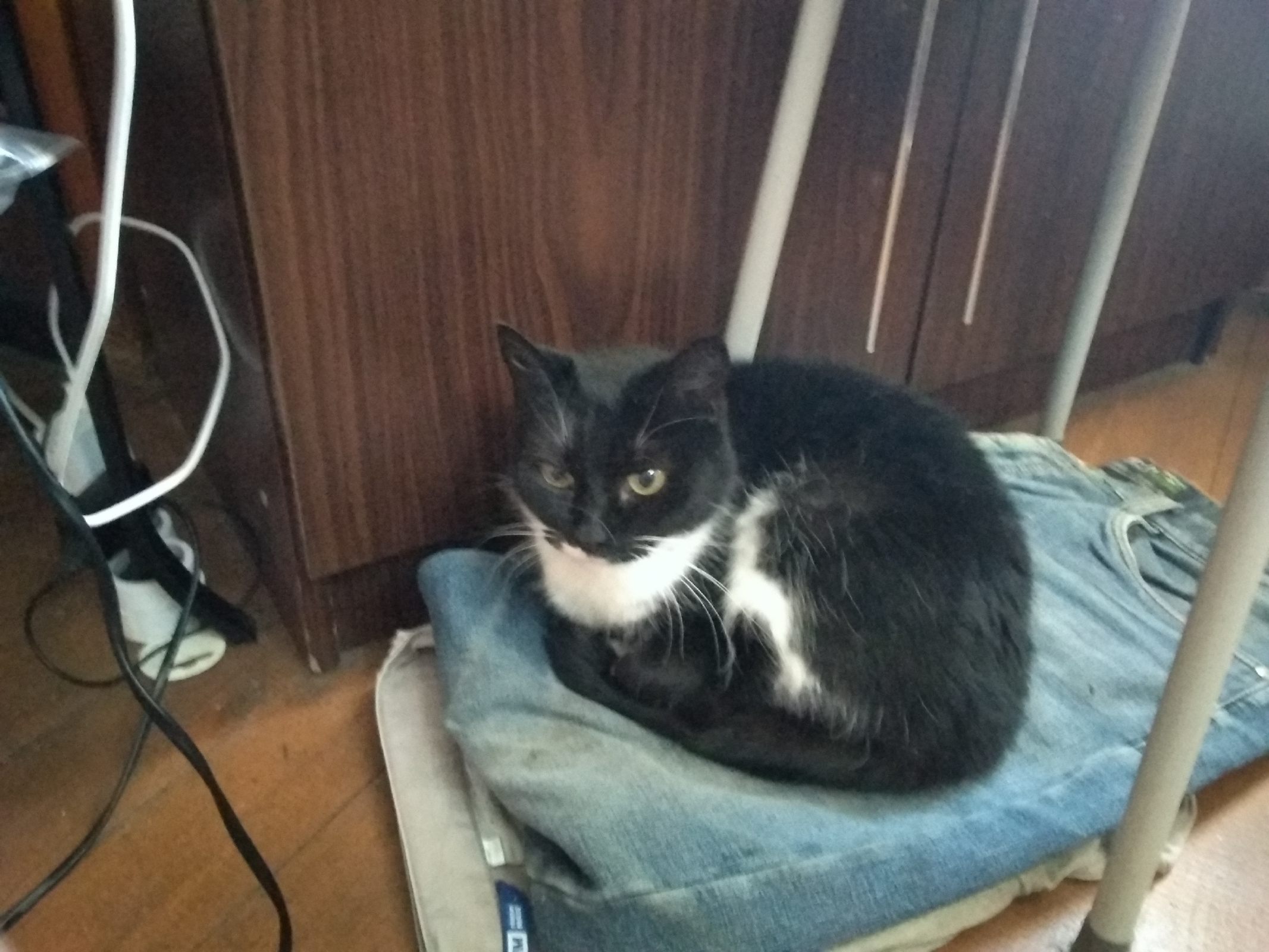 Мой "День Свободный от Забот"