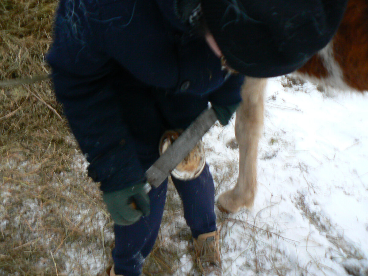 Мой "День Свободный от Забот"