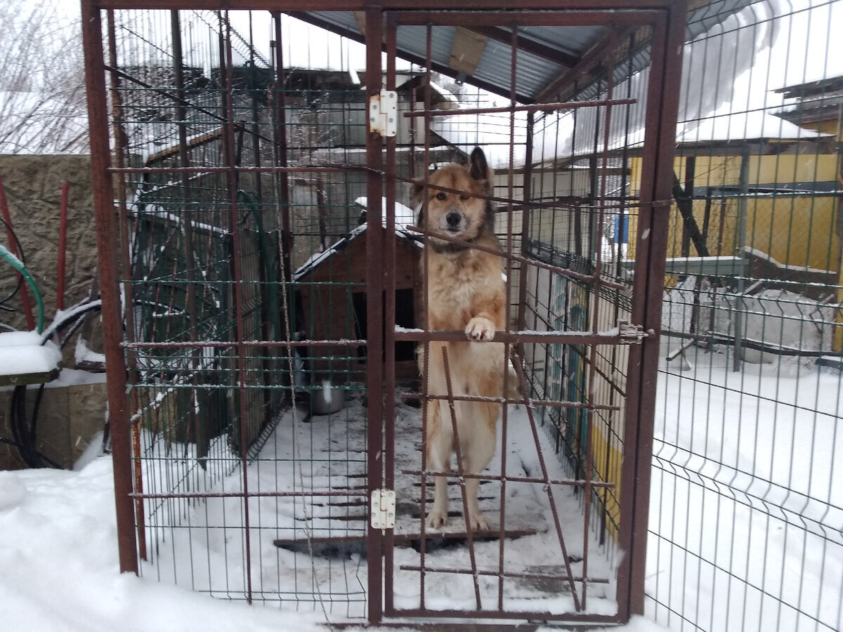 Мой "День Свободный от Забот"