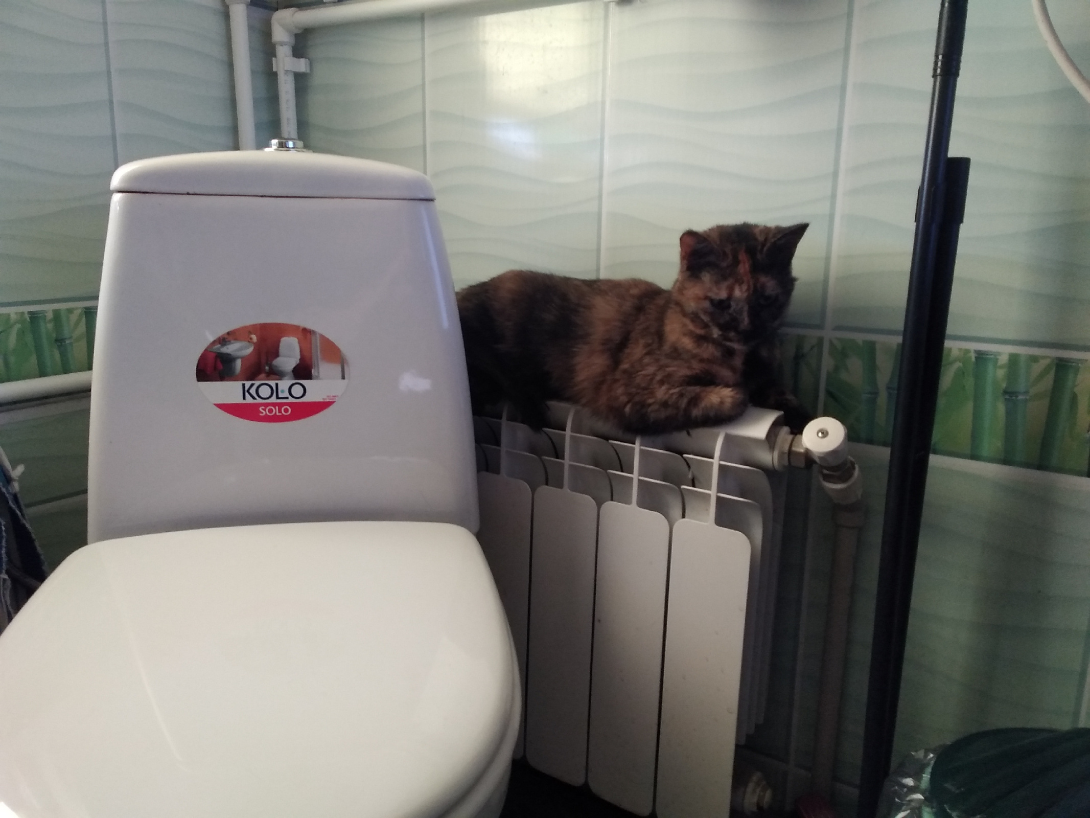 Мой "День Свободный от Забот"