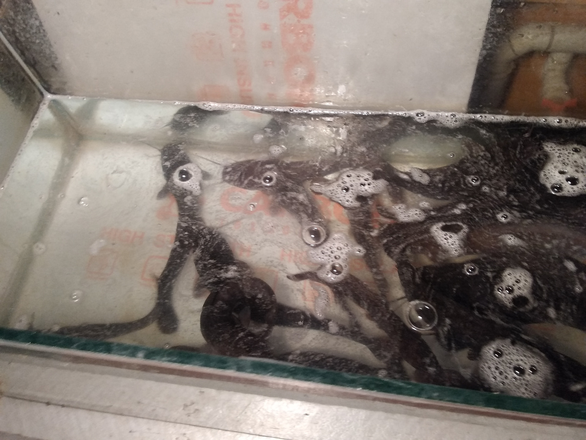 Мой "День Свободный от Забот"