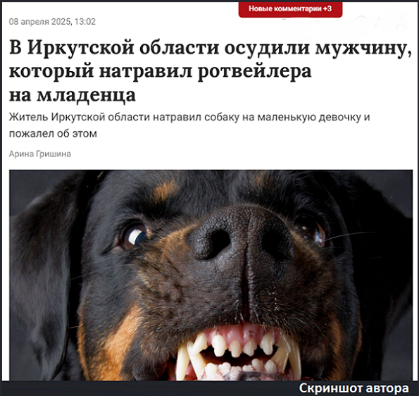 Жестокость или безумие? Зачем мужчина натравил ротвейлера на 1,5-годовалого ребёнка