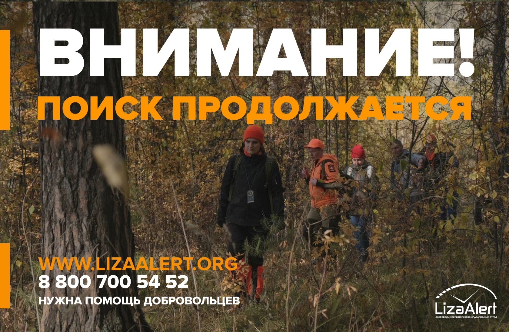 Внимание Новосибирск! Нужна помощь добровольцев! Поиски продолжаются!