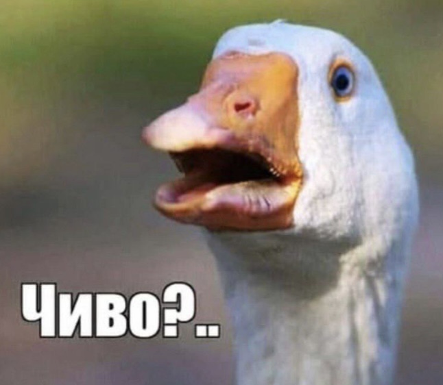 «Важная» идея от депутата Госдумы: самозапрет для россиян на приобретение алкоголя