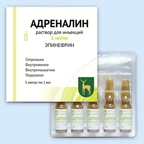 Трагедия в Московском зоопарке: можно ли было спасти умирающего от укуса змеи сотрудника?