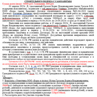 Иск Бора 02.04.25.png