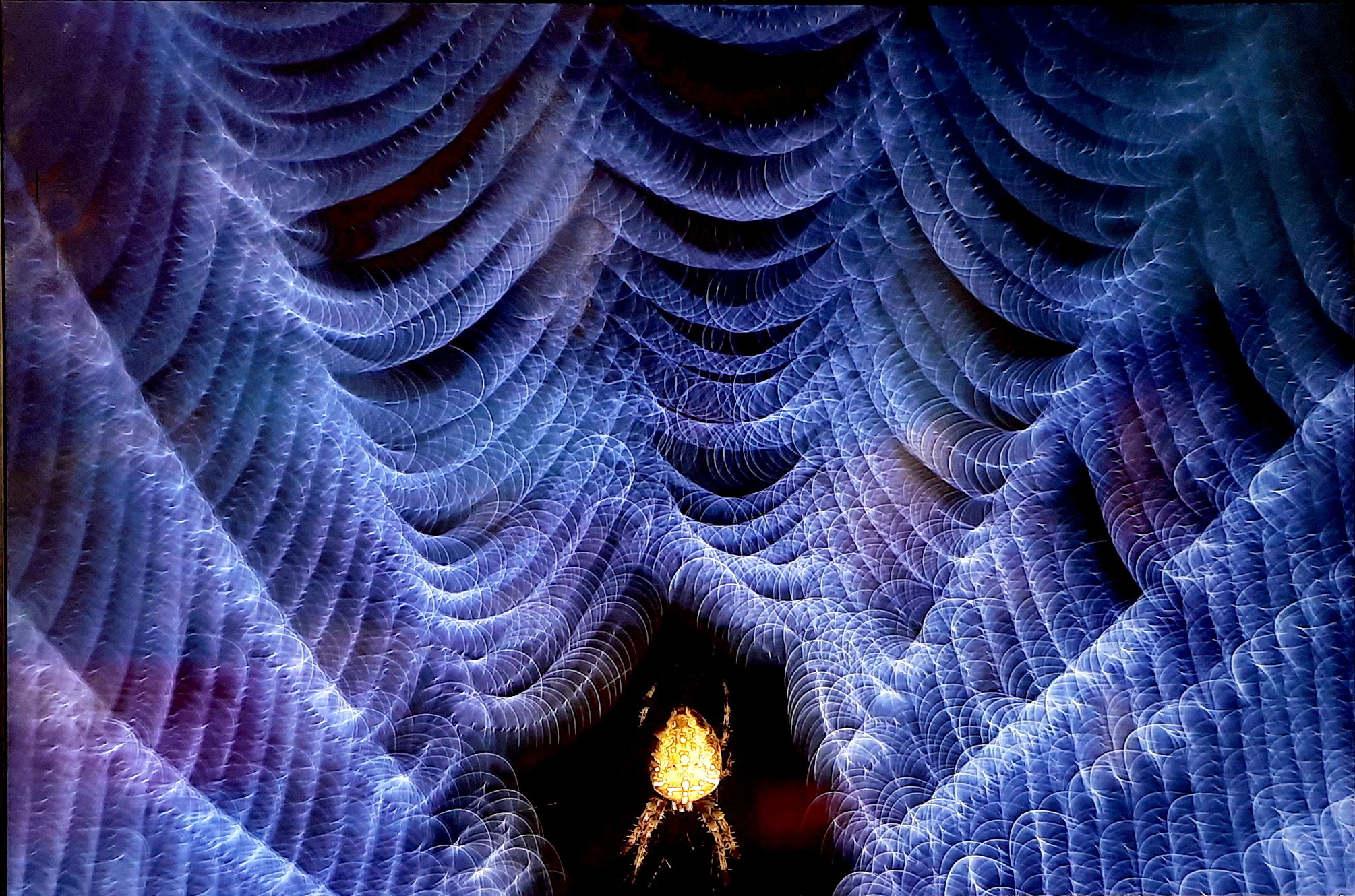 Мне сегодня позвонили!