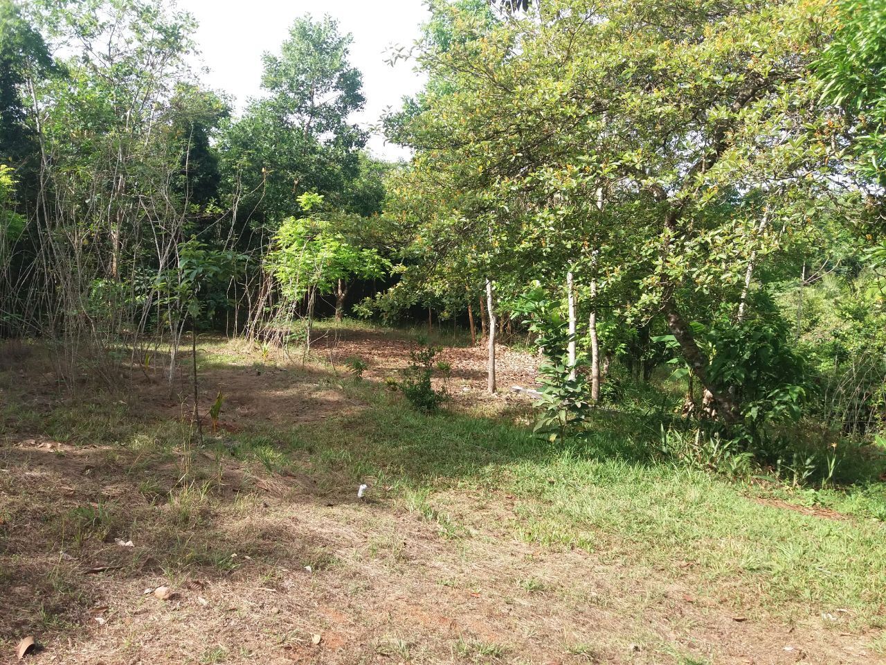 Как я оказался в эмиграции, и почему считаю, что сделанный своими руками дом в автобусе в лесу лучше, чем дворец в мегаполисе