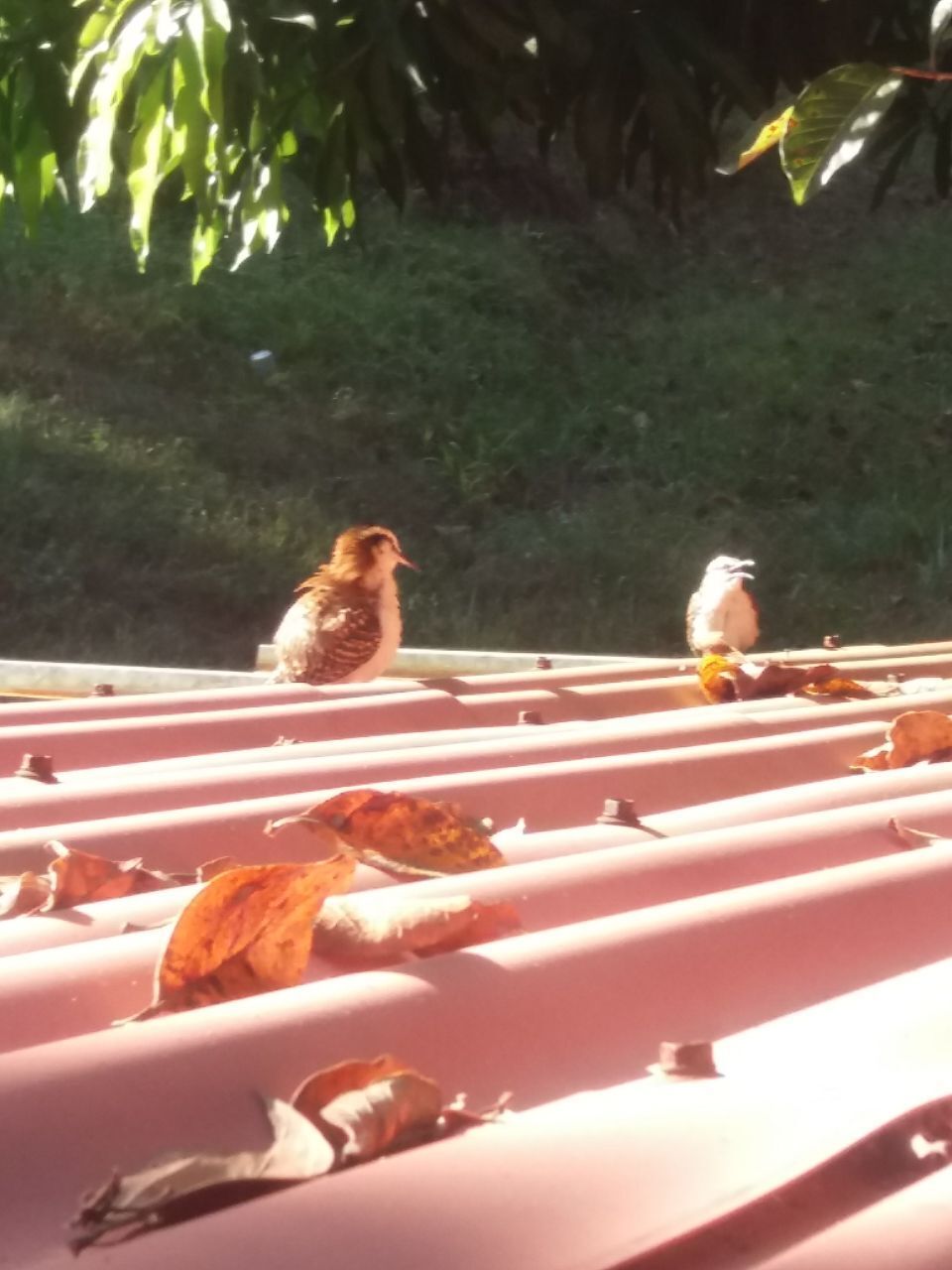 Как я оказался в эмиграции, и почему считаю, что сделанный своими руками дом в автобусе в лесу лучше, чем дворец в мегаполисе