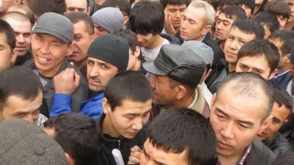 Как служба по делам мигрантов изменит правила игры