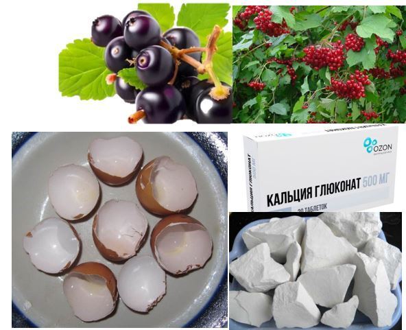 Советы при диатезе (золотухе)