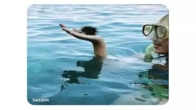 Эта фотография-головоломка зацепила людей