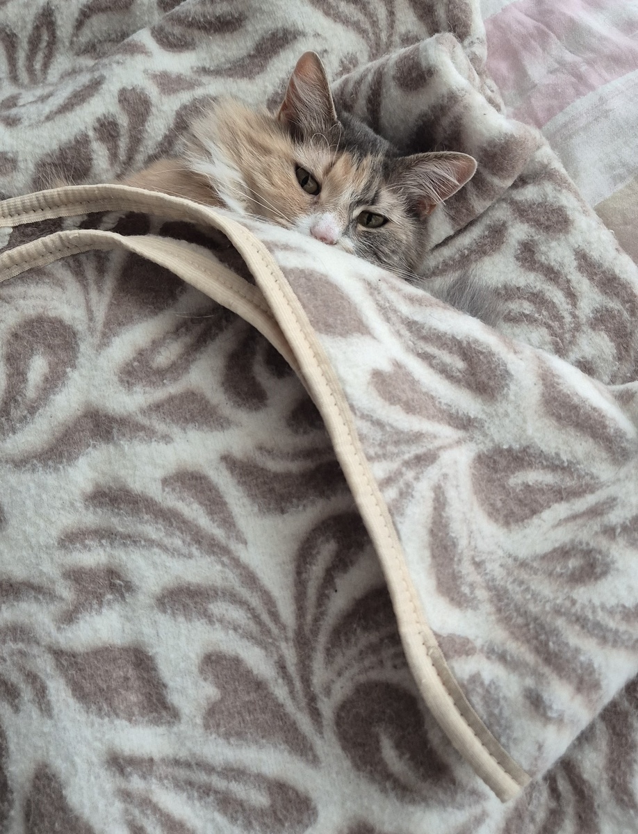 Уют начинается с… мебели