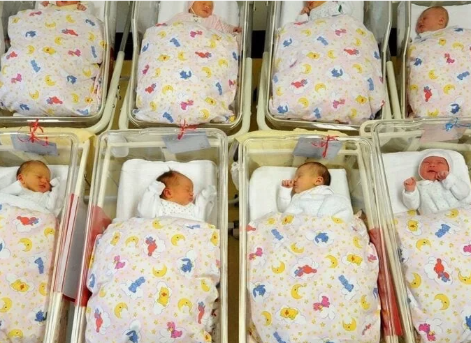 Все 12 детей от разных мужчин.