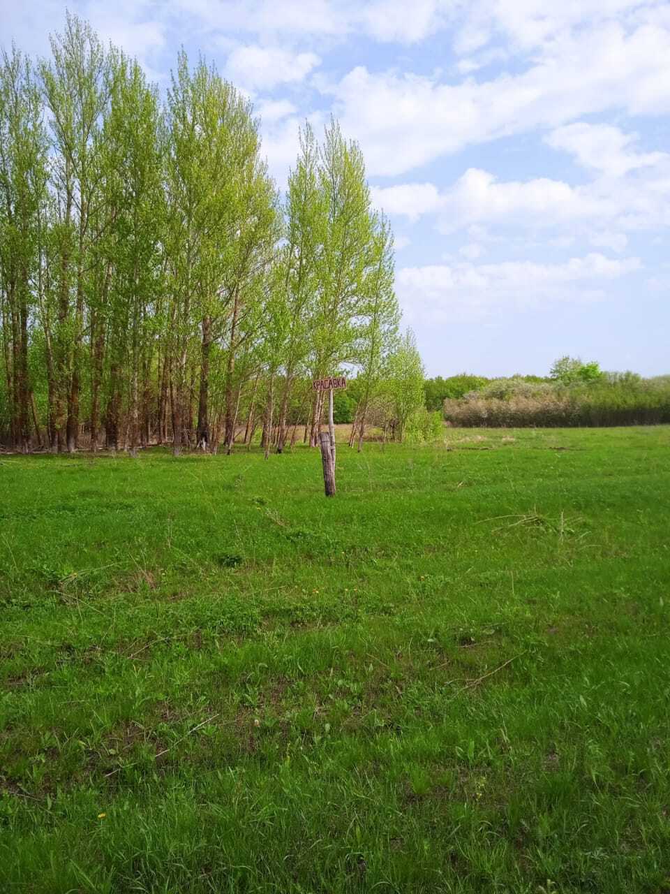 Сад памяти: 24 мая 2025 года земляки деревни Красавка встречаются для посадки сада Памяти