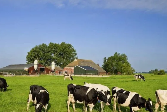 Все 12 детей от разных мужчин.