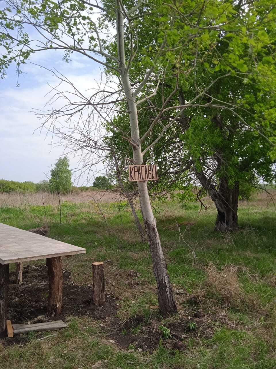 Сад памяти: 24 мая 2025 года земляки деревни Красавка встречаются для посадки сада Памяти