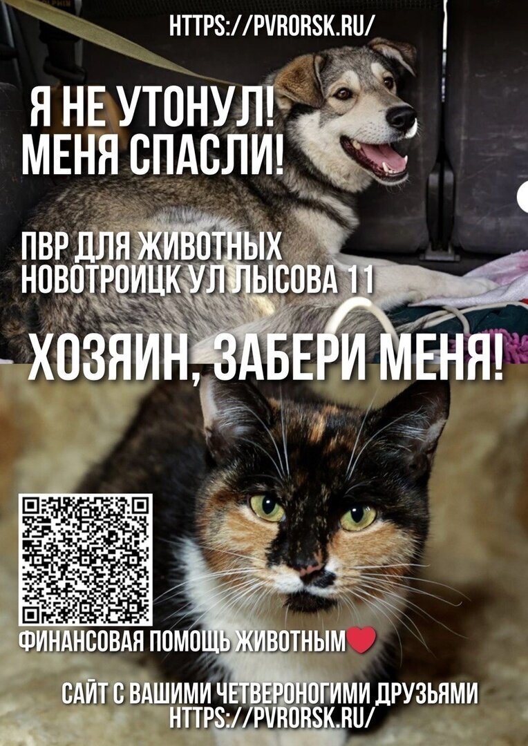 Из юристов в спасатели: случай из жизни при ЧС в Орске