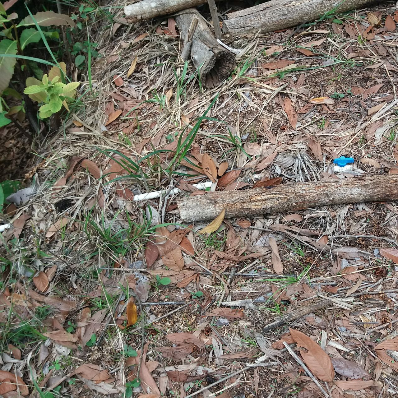 Моя стройка продолжается: подключение коммуникаций к дому, а тем более к дому в автобусе в стране вечного лета – одно удовольствие