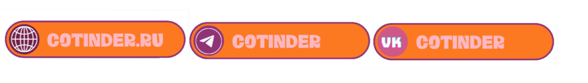 🐾 Животные онлайн: Как цифровые решения укрепляют связь между питомцами и их хозяевами