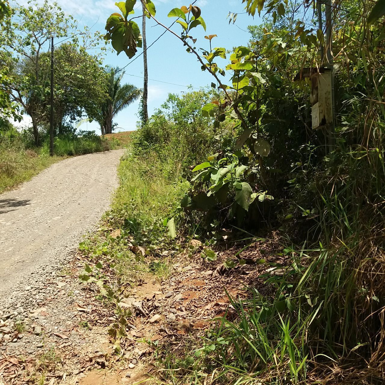 Моя стройка продолжается: подключение коммуникаций к дому, а тем более к дому в автобусе в стране вечного лета – одно удовольствие