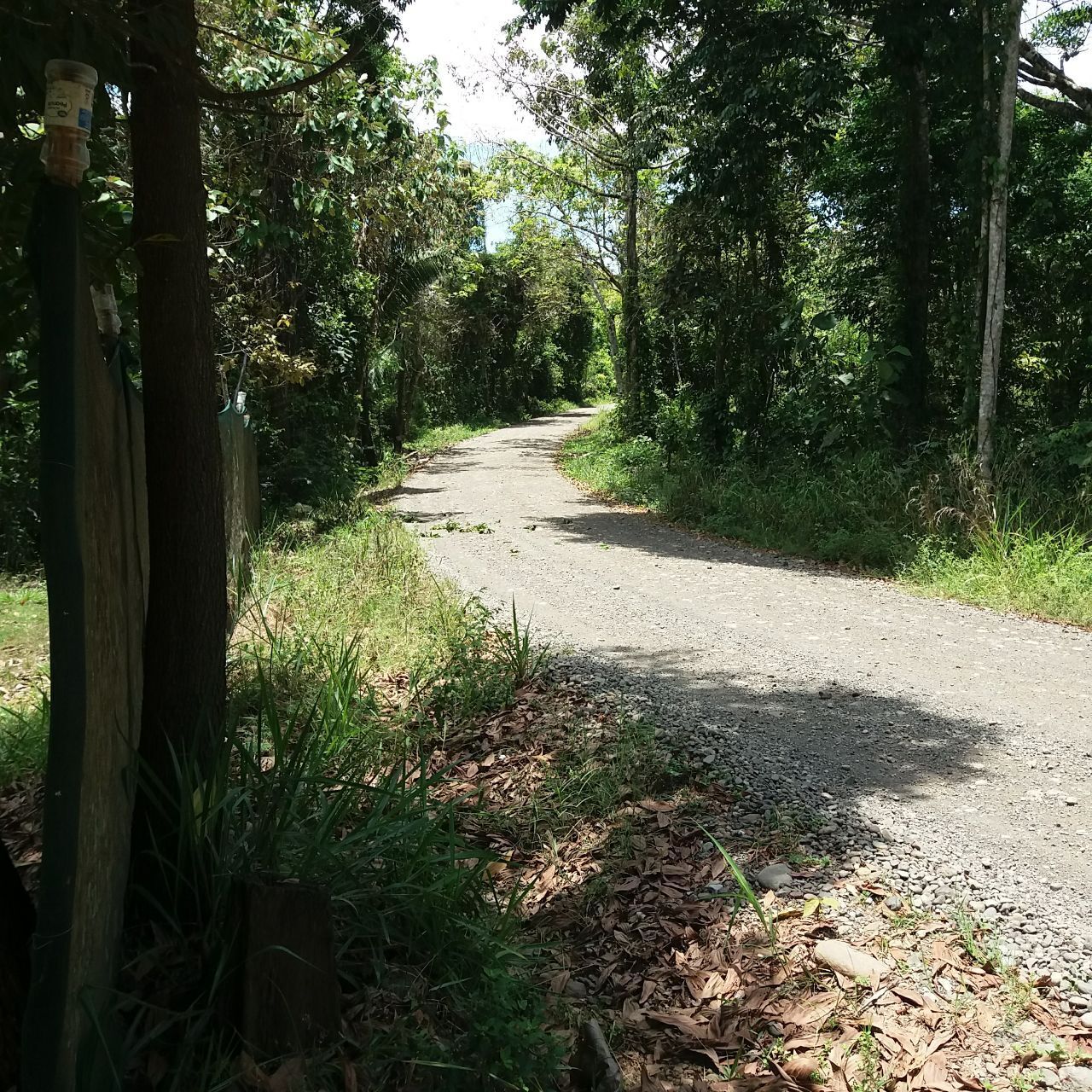 Моя стройка продолжается: подключение коммуникаций к дому, а тем более к дому в автобусе в стране вечного лета – одно удовольствие