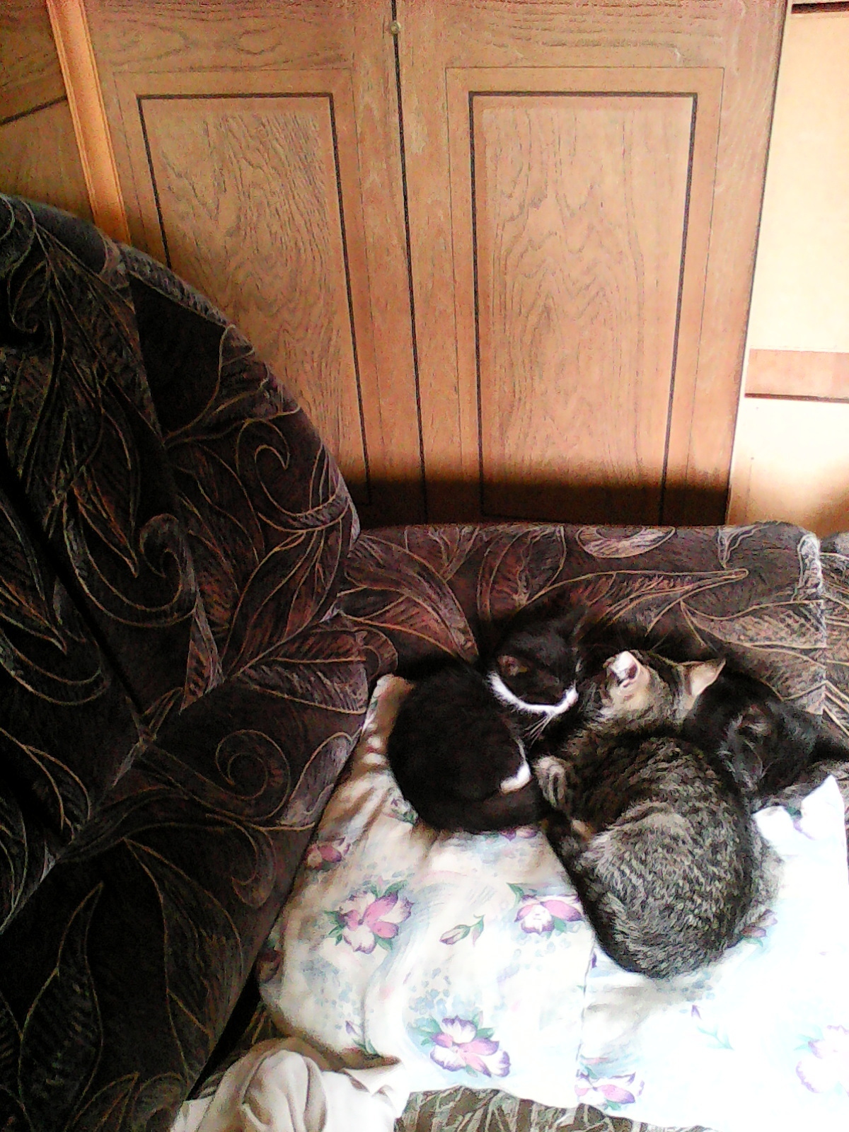 Дуся (3)/Весна-Красна/