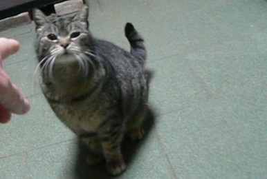 Дуся (3)/Весна-Красна/