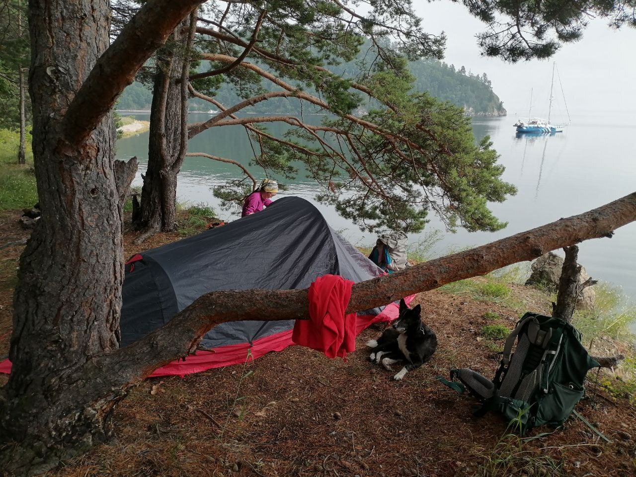 Как не бояться ночевать в лесу одному
