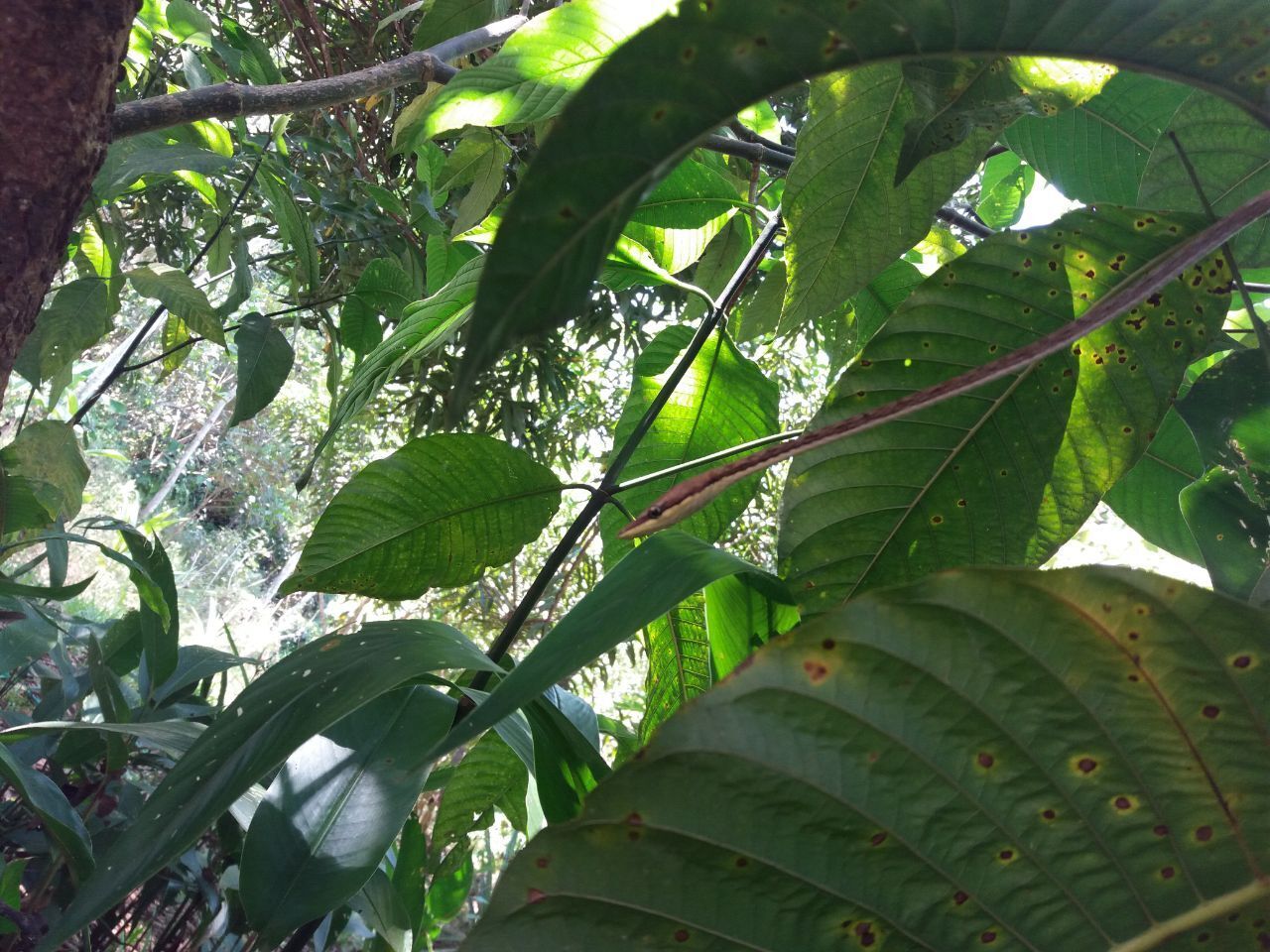 За десять дней мне позарез нужно что-то построить, хоть монашескую келью