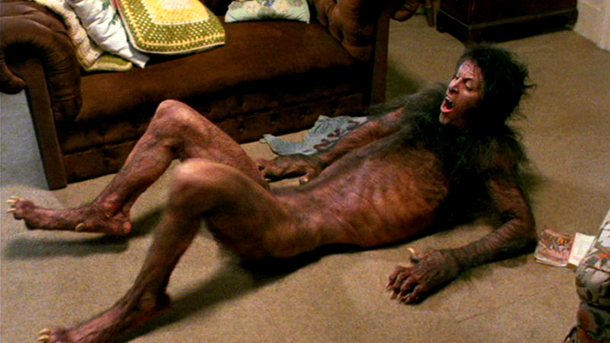 Секреты реального физического превращения человека в кошку, собаку, волка, медведя...