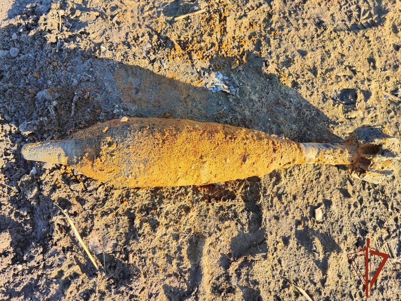 Саперы Росгвардии уничтожили опасные предметы в Новосибирской области Саперы Росгвардии уничтожили опасные предметы в Новосибирской области