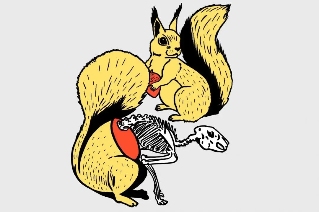 Логическая задача про полторы белки