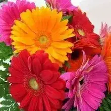 Ирина Николаевна, г. Уяр