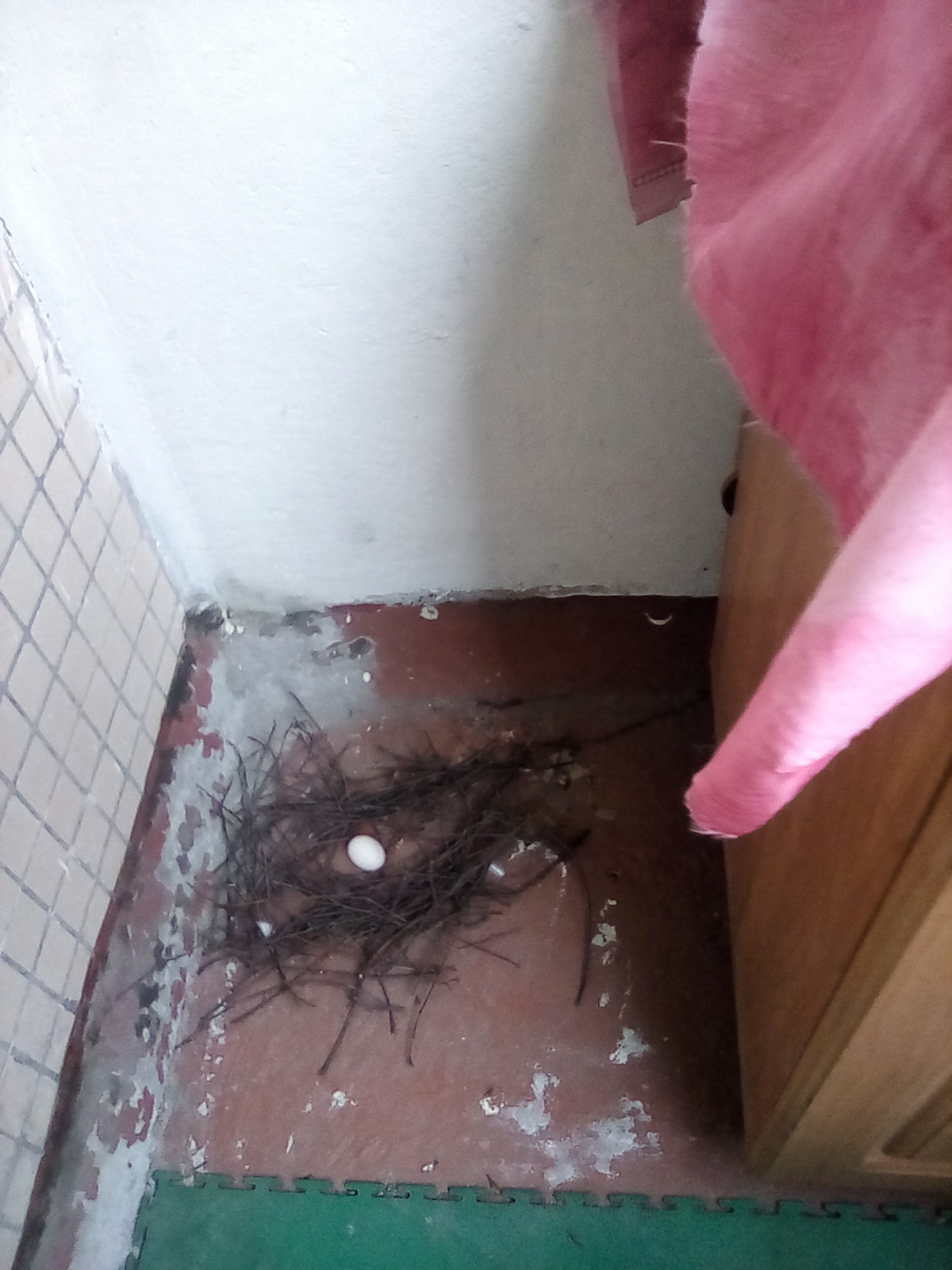 Когда не дают ипотеку, а детей хочется.....Весна -пора любви ..