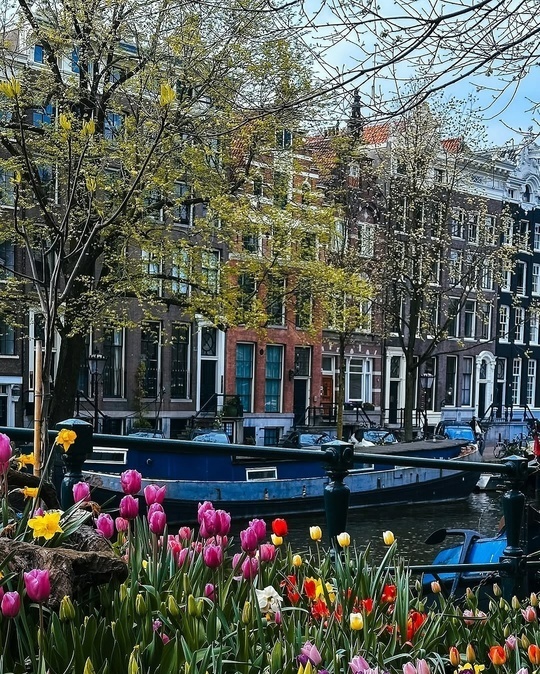Амстердам: Город каналов, тюльпанов и свободы 🌷🚲🇳🇱
