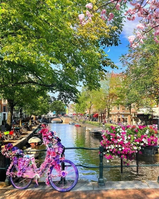 Амстердам: Город каналов, тюльпанов и свободы 🌷🚲🇳🇱