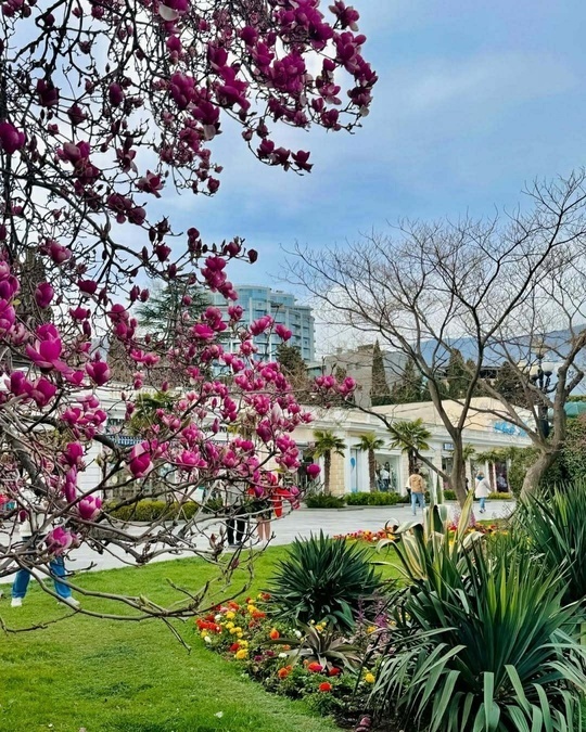 Ялта: Жемчужина Крыма, город солнца и вдохновения ☀️🌊🍇