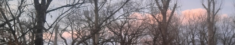 Нарушение принципа непрерывности защиты адвокатов по назначению