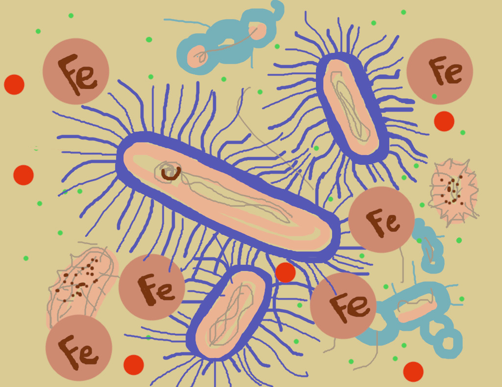 Новый способ очистки воды