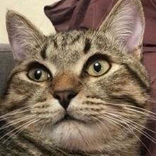 Михаил, г. Москва