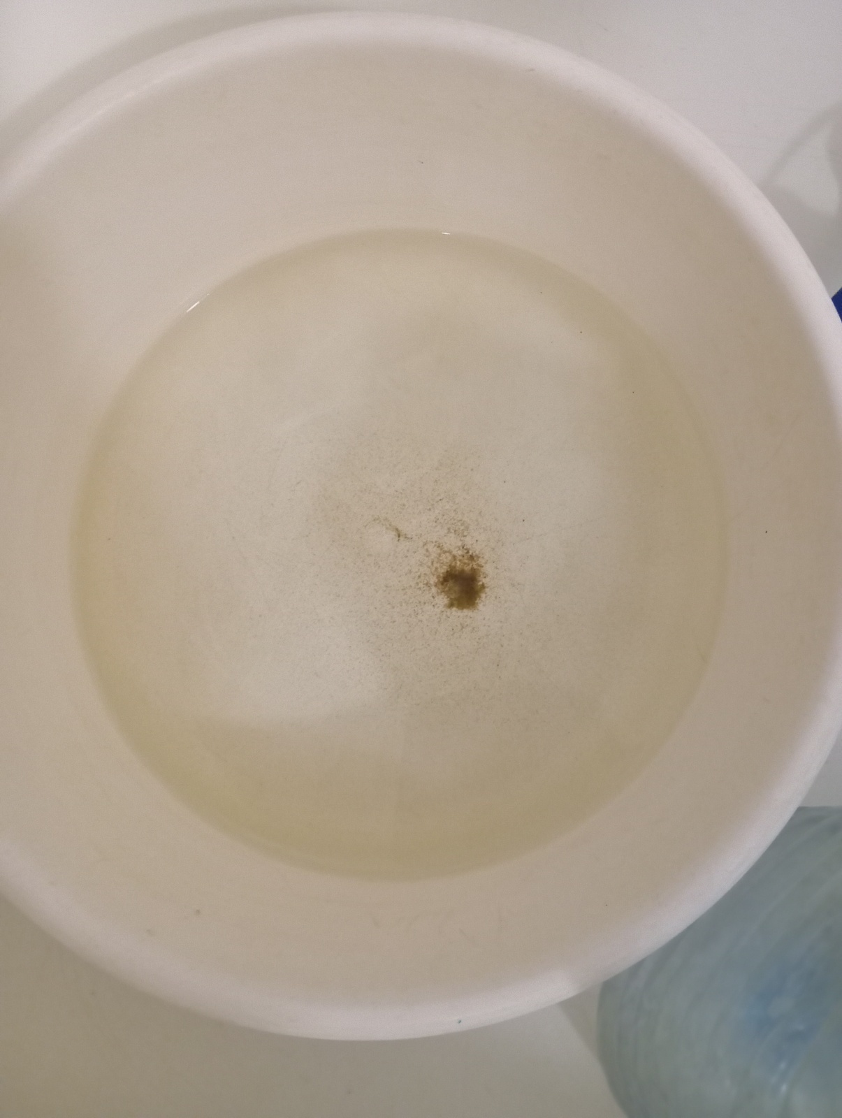 Жизнь с графиком подачи воды раз в 2 дня и двухлетним ребенком