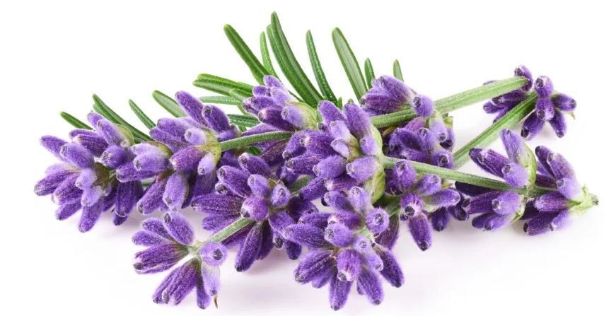 Советы для женского здоровья