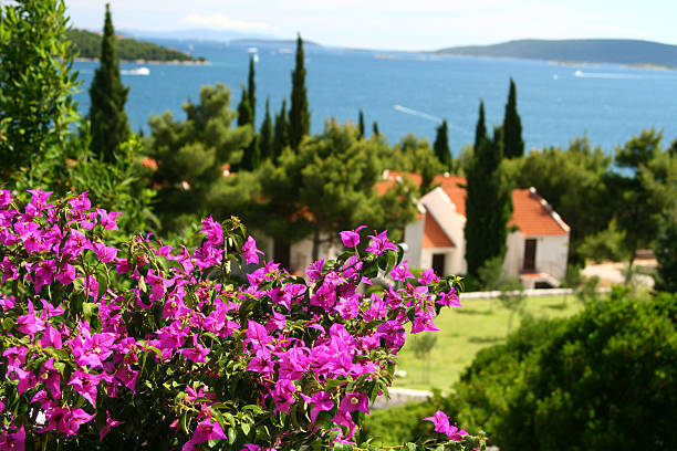 Не верьте прогнозам, добро пожаловать в весенний Крым!