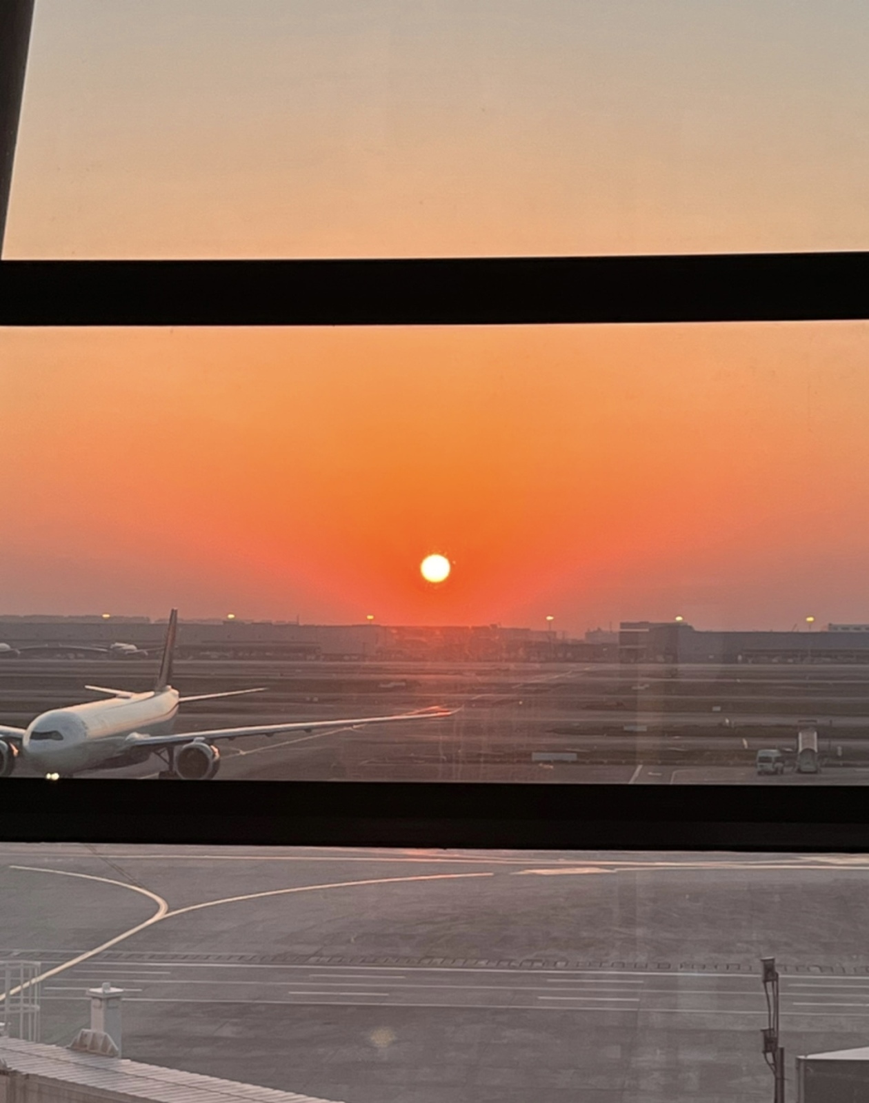 Права пассажира при задержке рейса: отдыхай и ешь бесплатно за счет авиакомпании. Личные истории