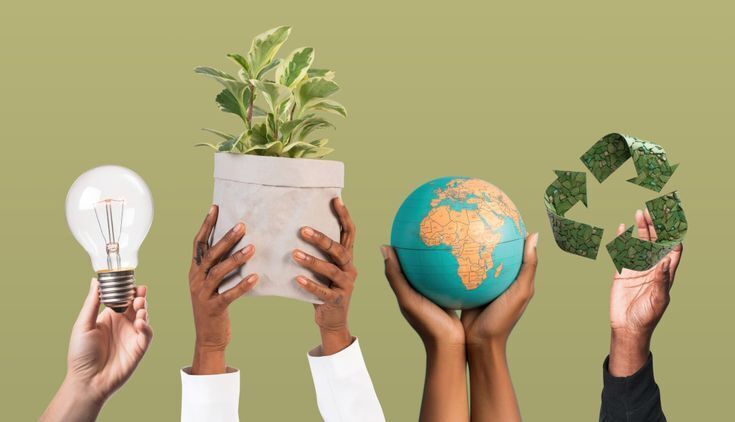 Что такое экопредпринимательство? Мы изучаем эко-предпринимательство!