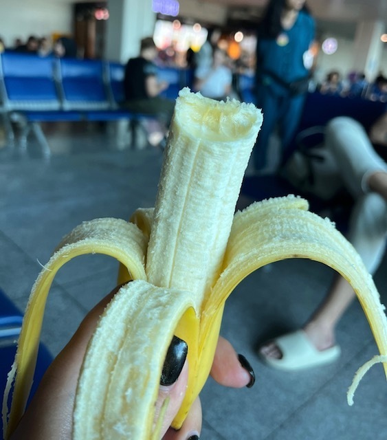 Права пассажира при задержке рейса: отдыхай и ешь бесплатно за счет авиакомпании. Личные истории