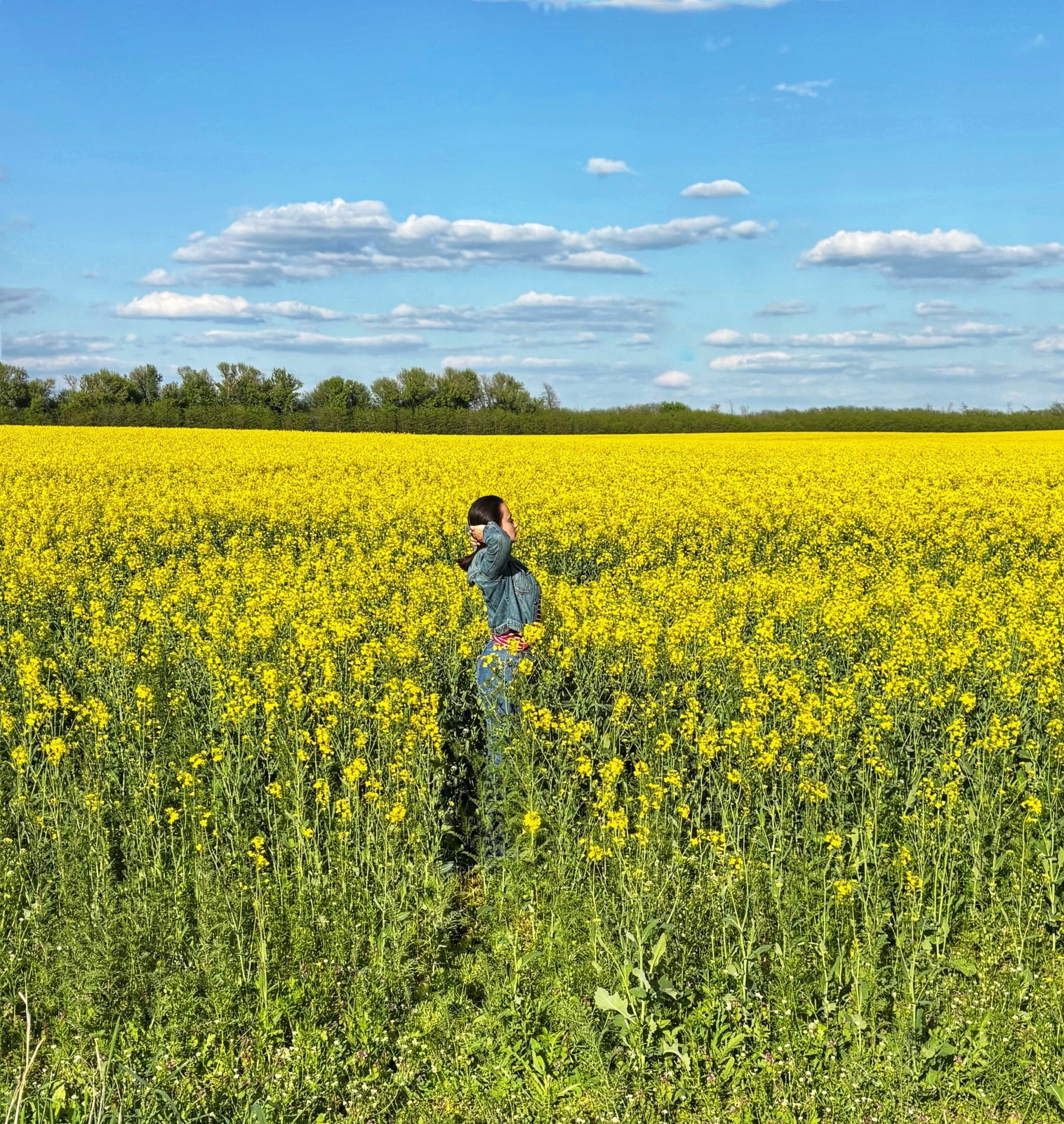 С Праздником Весны и Труда всех пользователей 9111!