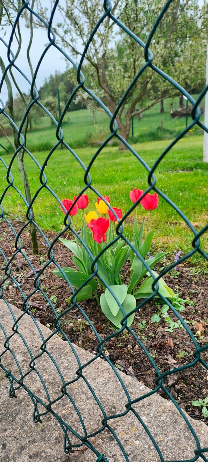 Быть... или не быть... часть первая