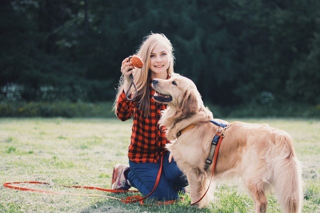 Ситтеры и волкеры: кто они такие, и почему им можно доверить свою собаку